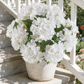 Kisflower 2 Pack White Silk Artificial Hydrangea Flowers Bouquets - Vase & Wedding Decor