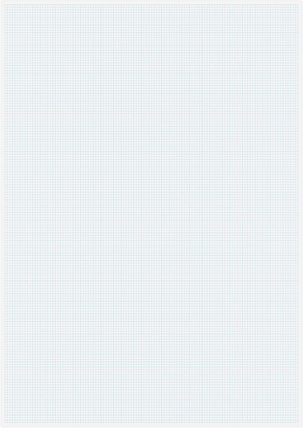The Worcestershire Stationery Company Vizsla A1 Graph Paper Pad